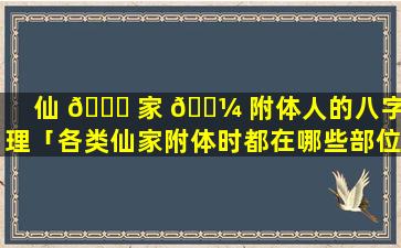 仙 🍁 家 🌼 附体人的八字命理「各类仙家附体时都在哪些部位表现」